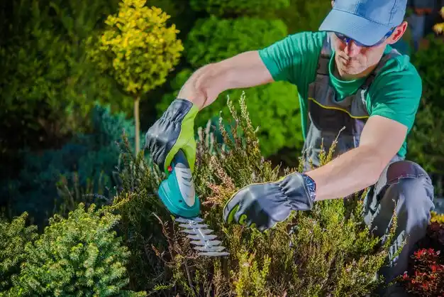 landscaping services Evarts